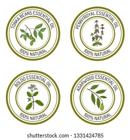 Set of essential oil labels. Hand drawn vector illustration