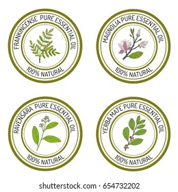 Set of essential oil labels. Hand drawn vector illustration