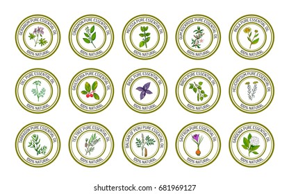 Set of essential oil labels. Hand drawn vector illustration