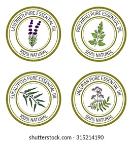 Set of essential oil labels: lavender, patcouli, eucalyptus, valerian. Vector illustration