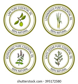 Set of essential oil labels: lime, lemongrass, peppermint, white cedar. Vector illustration