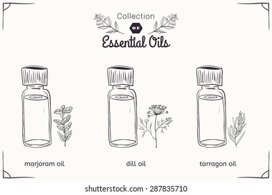 A set of essential oils in black and white style: marjoram, dill, tarragon. Vector illustration