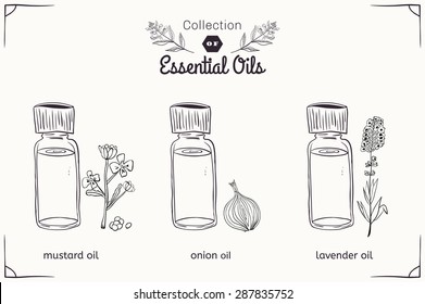 A set of essential oils in black and white style: mustard, onions, lavender. Vector illustration