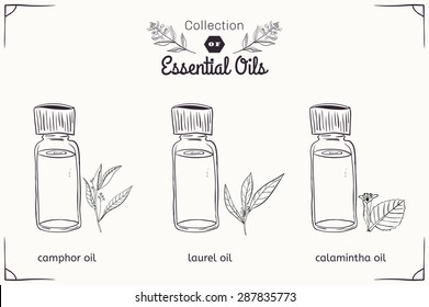 A set of essential oils in black and white style: camphor, Laurel, calamintha. Vector illustration