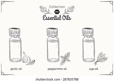 A set of essential oils in black and white style: mint, garlic, sage. Vector illustration