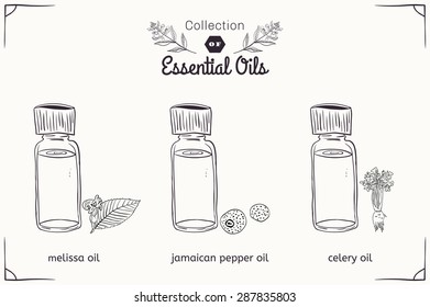 A set of essential oils in black and white style: Melissa, Jamaican pepper, celery. Vector illustration