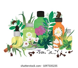 Set of essential oils vector illustration Aromatherapy