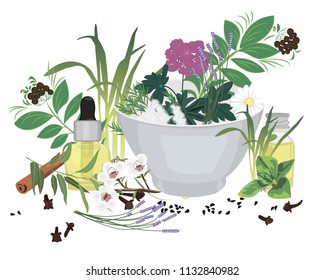 Set of essential oils vector illustration Aromatherapy