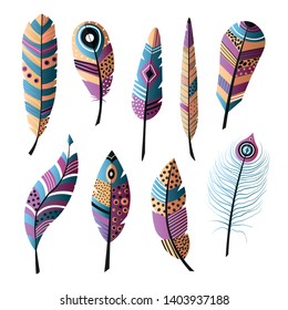 Set of ethnic colorful bird feather, modern color