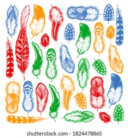 Set of ethnic feathers. Decoration design. Birds feathers, boho chic style. Tribal ornament pattern.