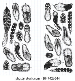 Set of ethnic feathers. Decoration design. Birds feathers, boho chic style. Tribal ornament pattern.