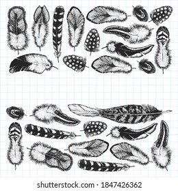 Set of ethnic feathers. Decoration design. Birds feathers, boho chic style. Tribal ornament pattern.