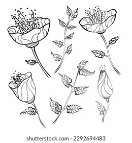set ethnic flowers black lane. Vintage decorative elements. Hand drawn background. Islam, Arabic, Indian, ottoman motifs.