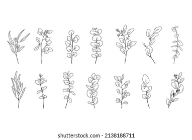 Set of Eucaliptus branches line art drawing. Vector outline illustration with leaves isolated on white background. Botanical plant