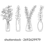 Set of Eucalyptus branches in glass vases and bottles, hand drawn botanical line drawing, vector floral line art illustration for wedding, logo, advertising, packaging