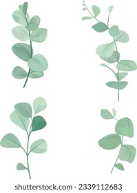 set of eucalyptus leaves, eucalyptus green leaves