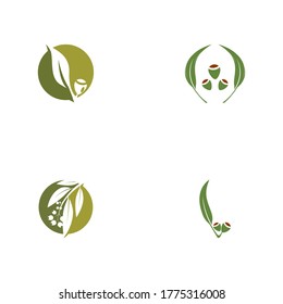 Set Eucalyptus leaves logo vector template design illustration