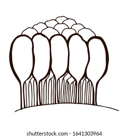 set of eucalyptus sprigs and trees. eucalyptus grove. leaves and buds on a twig. use for logos of cosmetics, medicines, aromamasla. exotic plant. Flat style, hand-drawn one line. isolate on a white
