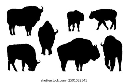 Conjunto de siluetas de bisonte europeo. El sabio o el zubr. Animales salvajes de Vector realista de Europa. Bosque de Bialowieza.