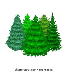 Set of evergreen christmas tree like fir or pine, Blue spruce, green forest xmas sale plants isolated vector illustration