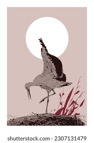 Satz evolutionärer Arten. Verschiedene Arten von Kran-Vögeln. Vektorgrafik auf hellem Hintergrund

