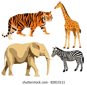 Set of exotic animals