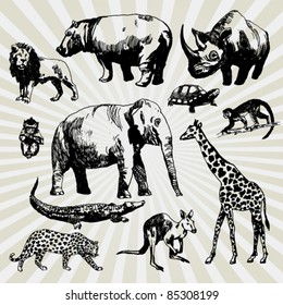 Set of Exotic Animals Hand Drawn