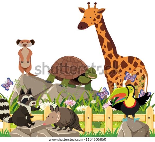 Set Exotic Animals Illustration Stock Vector (Royalty Free) 1104505850