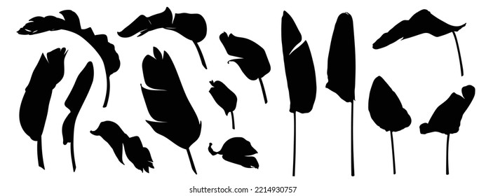 Set of exotic banana leaves silhouettes. Black summertime poster. Collection of scrapbooking elements for beach party with exotic tropical flowers.
