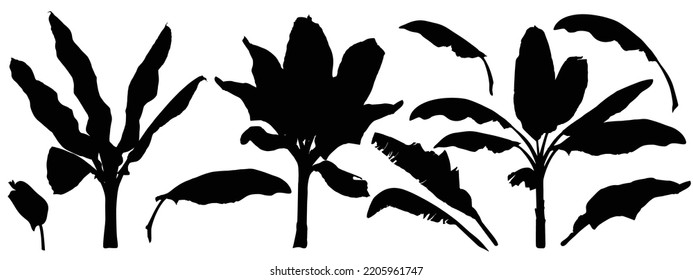 Set of exotic bananas leaves and plants silhouettes. Black summertime poster. Collection of scrapbooking elements for beach party with exotic tropical flowers.