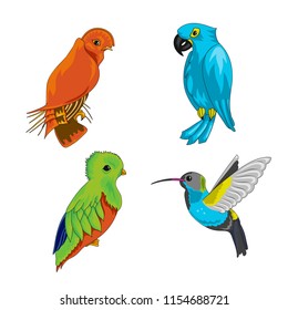 Set of exotic birds with ara parrot. Cartoon vector illustration with stroke isolated on white