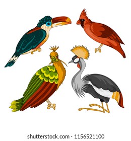 Set of exotic birds with cockatoo , red cardinal. Cartoon vector illustration with stroke isolated on white