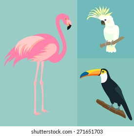 Set of exotic birds. Flamingo, toucan, parrot cockatoo. Vector.