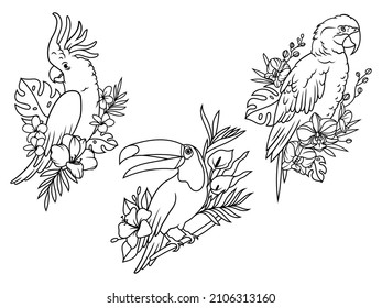 Set of exotic birds with flower. Collection of tropical birds on a floral branch cockatoo, toucan, hummingbird. Wildlife. Botanical. Vector illustration of animals on a white background.