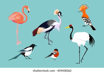Set of exotic birds. Heron, flamingo, royal crane, bullfinch, magpie, hoopoe. Elements for your design. Vector.