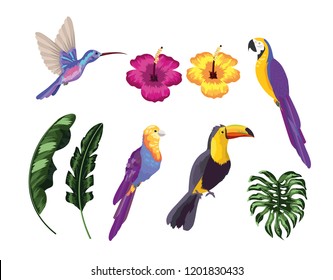 set exotic birds with natural leaves