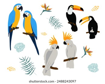 Set with exotic birds. Pairs of parrots, cockatoos, macaws, toucans on a branch. Vector graphics.