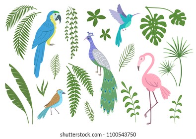 Set of exotic birds and plants. Vector illustration.