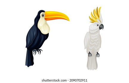 Set of exotic birds. Toucan and cockatoo parrot vector illustration