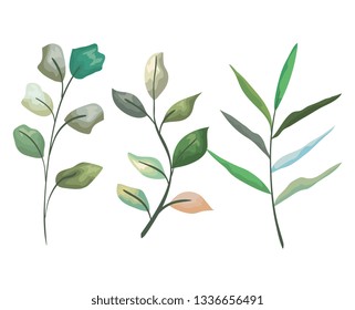 set exotic branches leaves plants