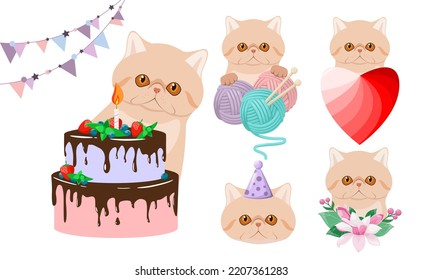 Un conjunto de gatos exóticos en un fondo blanco. Diseño de caricaturas.
