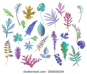 Set Exotic Colorful leaves on white background. Foliage, Botanical collection. Monstera, Oak, rowan, palm and other leaves. Realistic vector icons for your design. . Vector illustration