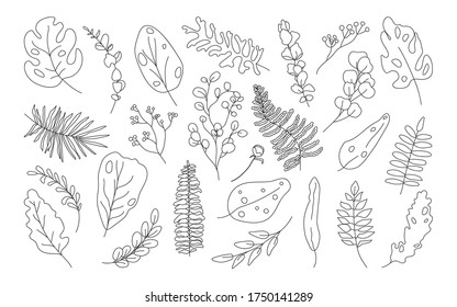 Set of exotic contour tropical leaf. Hand drawn different abstract jungle floral botanic leaves palm, monstera for decorative composition or invitation card. Isolated on white vector illustration