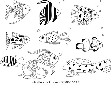 Set of exotic coral reef fish. Underwater swimming animals. Tropical fish for the aquarium.  vector cartoon hand drawn elements for design.