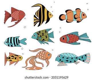 Set of exotic coral reef fish. Underwater swimming animals. Tropical fish for the aquarium. Vector elements for design.