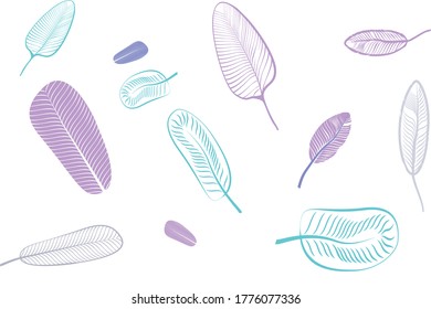 Set of exotic different color banana leaves, isolated on a white background. 