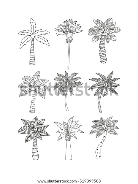 Set Exotic Doodle Palms Vector Illustrations Stock Vector (Royalty Free ...