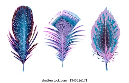 Set of exotic feathers. Vector illustration. A picturesque collection of Boho style elements. Colorful design for tattoo. Symbol of the sky, flight. talisman. Ethnic style, tribal. Postcard or poster.