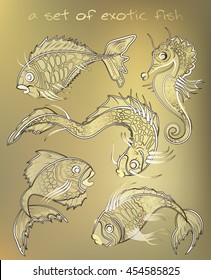 a set of exotic fish