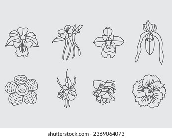 set of exotic flower outline flat icon.rafflesia,orchid ,fushcia flower line art symbol
